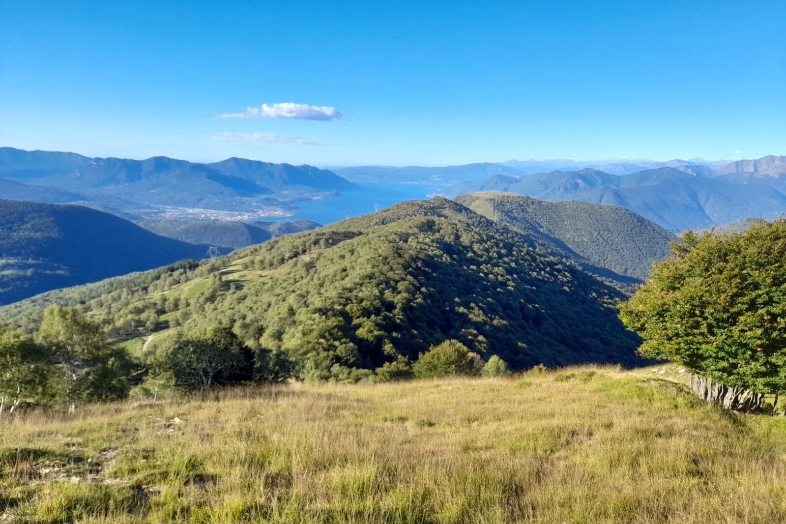 WhatsApp Image 2024-05-02 at 14.03.34